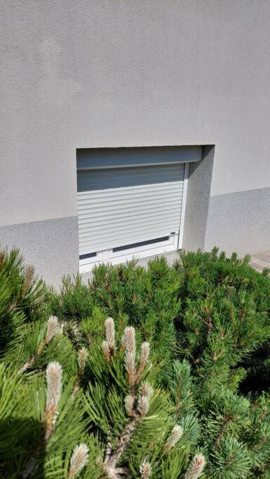 City Lodge Pine, Free Parking Любляна Екстериор снимка